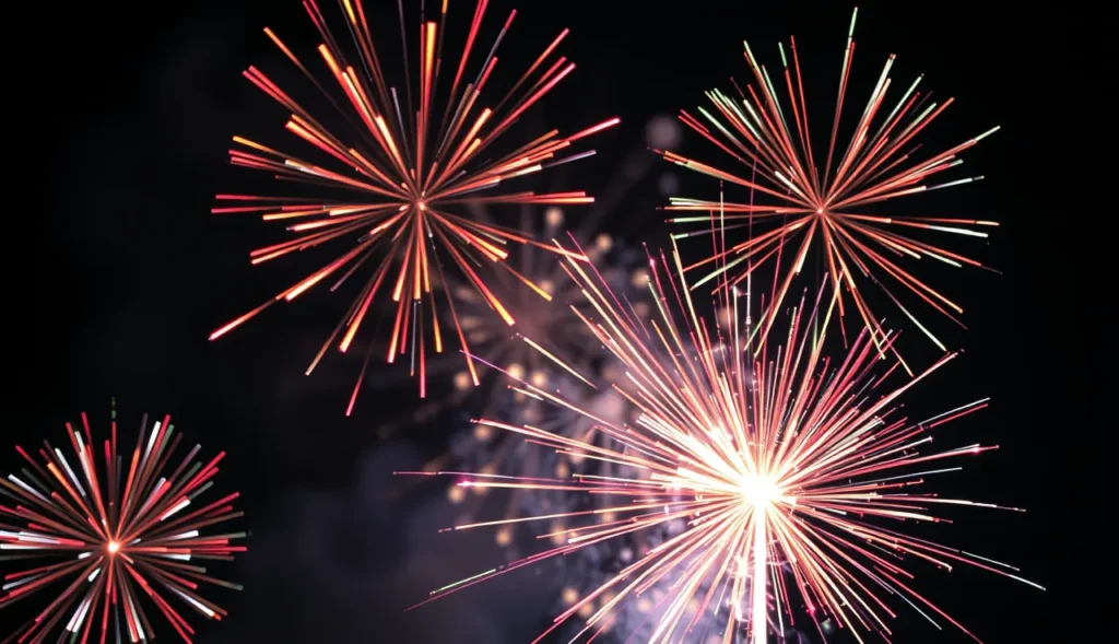 Feuerwerk in Ludwigsburg