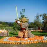 Kuerbisausstellung Ludwigsburg Yoda