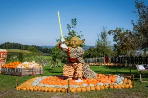 Kuerbisausstellung Ludwigsburg Yoda