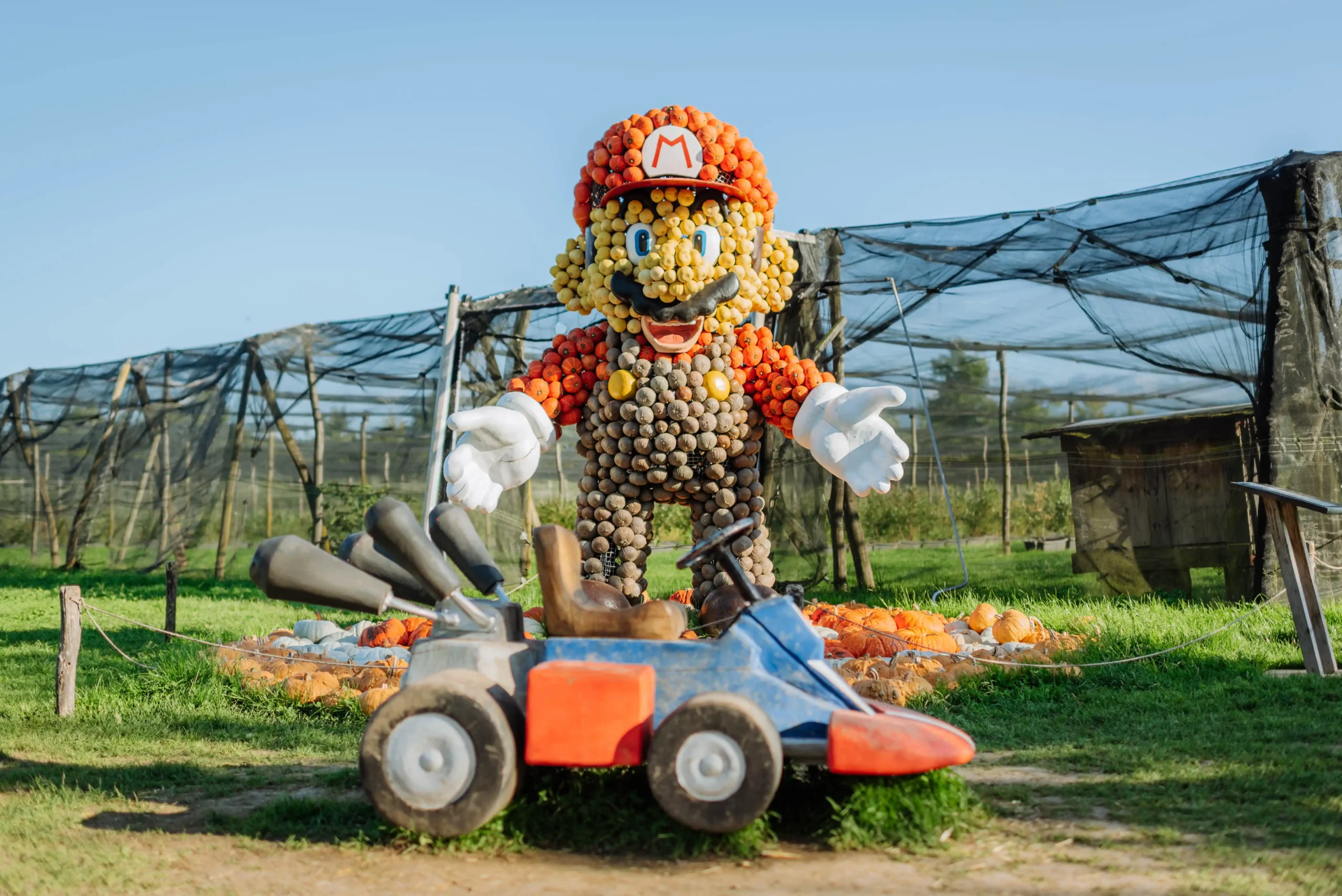 Super Mario aus Kürbissen mit einem Rennauto Kürbisausstellung Ludwigsburg 2026